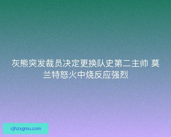 灰熊突发裁员决定更换队史第二主帅 莫兰特怒火中烧反应强烈