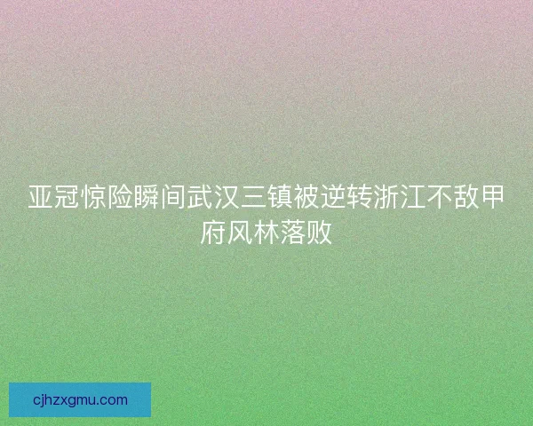 亚冠惊险瞬间武汉三镇被逆转浙江不敌甲府风林落败