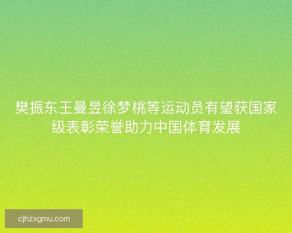 樊振东王曼昱徐梦桃等运动员有望获国家级表彰荣誉助力中国体育发展