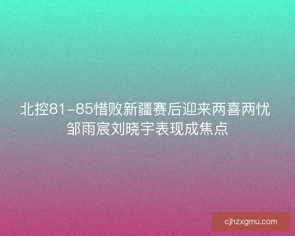 北控81-85惜败新疆赛后迎来两喜两忧 邹雨宸刘晓宇表现成焦点