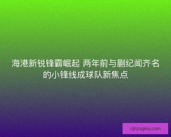 海港新锐锋霸崛起 两年前与蒯纪闻齐名的小锋线成球队新焦点